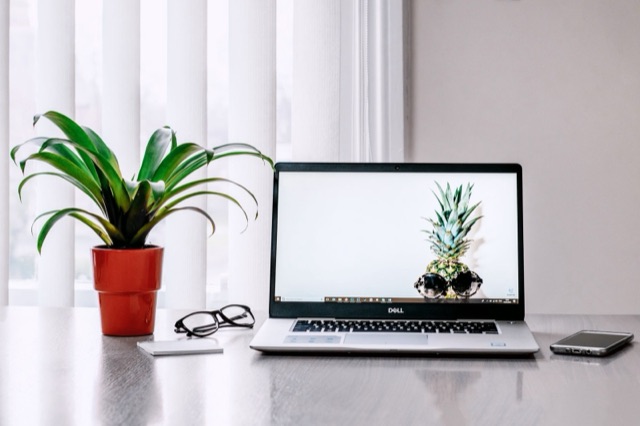 Laptop, potted plant and phone on a bright desk