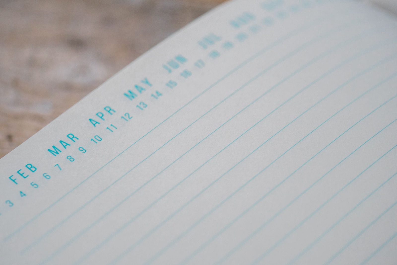 Open planner page with month markers